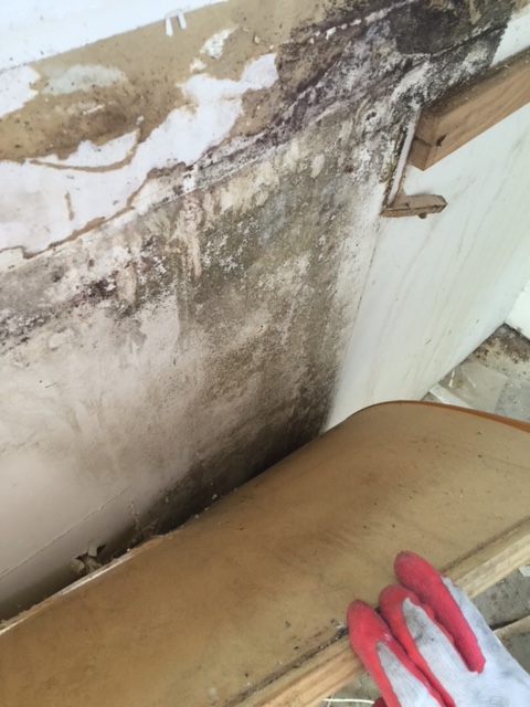 A wall that has been damaged by water damage.